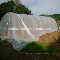 virgin LDPE Duratough extra heavy duty 180 micron greenhouse film with great storm / wind resistance